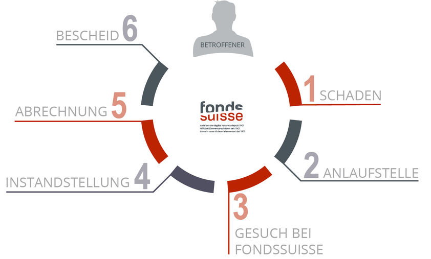 infografik_de_web.jpg infografik_de_web.jpg